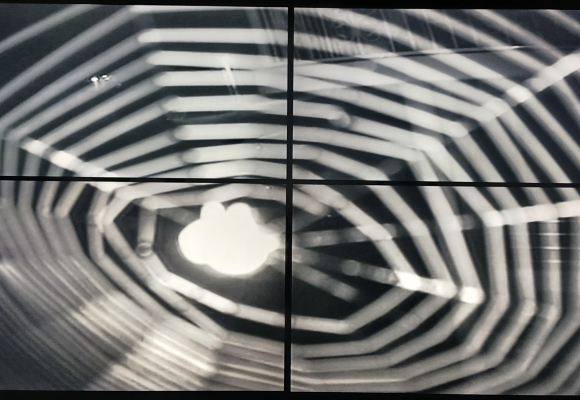 Captura de pantalla 2025-10-06 a la(s) 8.35.22 a. m. La demografía, madre de todas las batallas